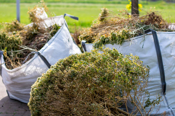 Best Dumpster Rental Services  in Ivins, UT